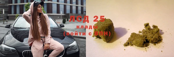 эйфоретик Аркадак