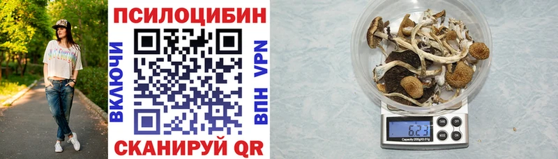 Купить закладки  Мценск  Галлюциногенные грибы мицелий 